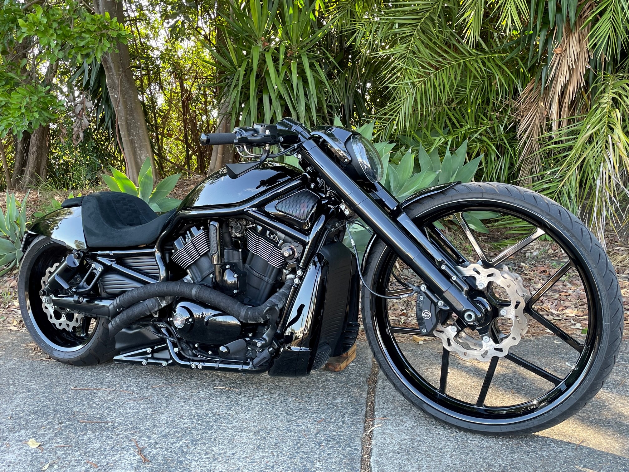 nlc night rod